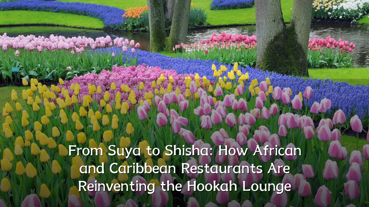From Suya to Shisha: How African and Caribbean Restaurants Are Reinventing the Hookah Lounge