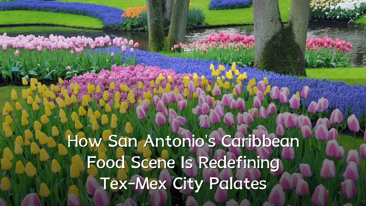 How San Antonio's Caribbean Food Scene Is Redefining Tex-Mex City Palates