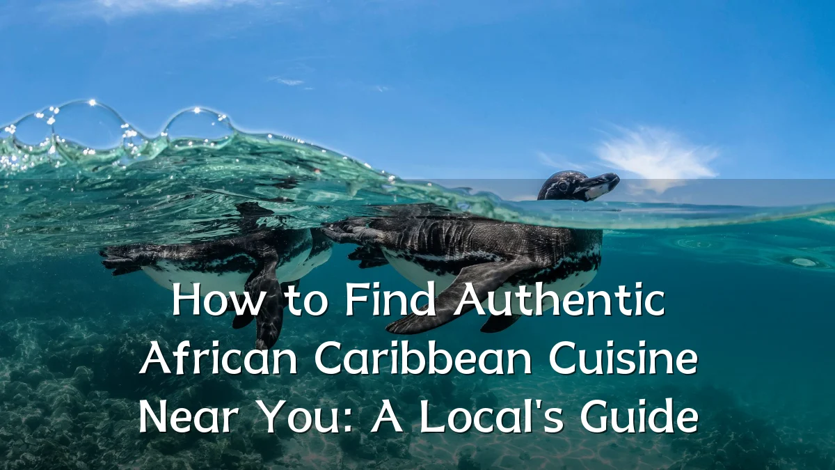 How to Find Authentic African Caribbean Cuisine Near You: A Local's Guide