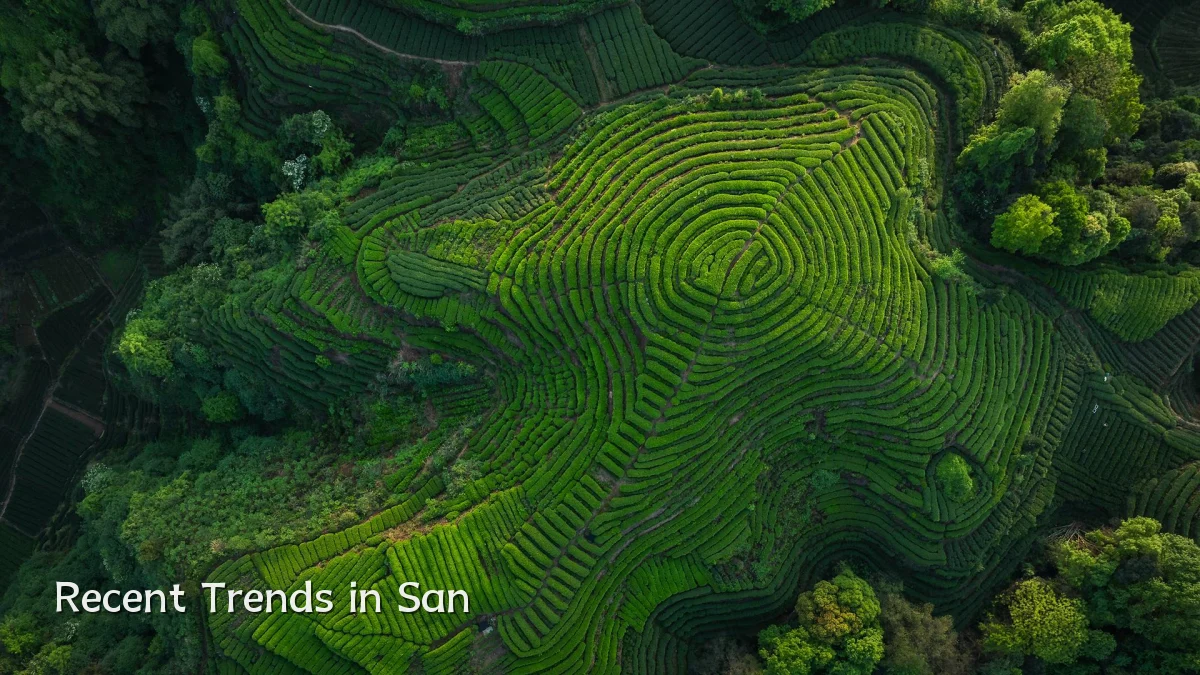 Recent Trends in San