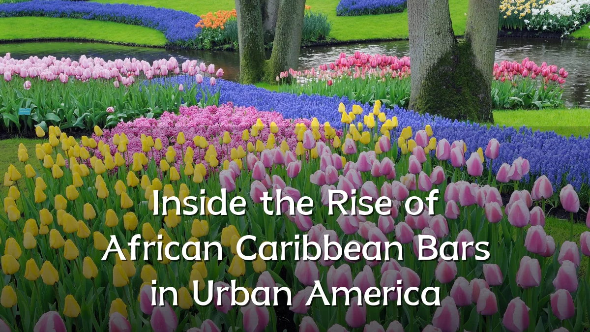 Inside the Rise of African Caribbean Bars in Urban America