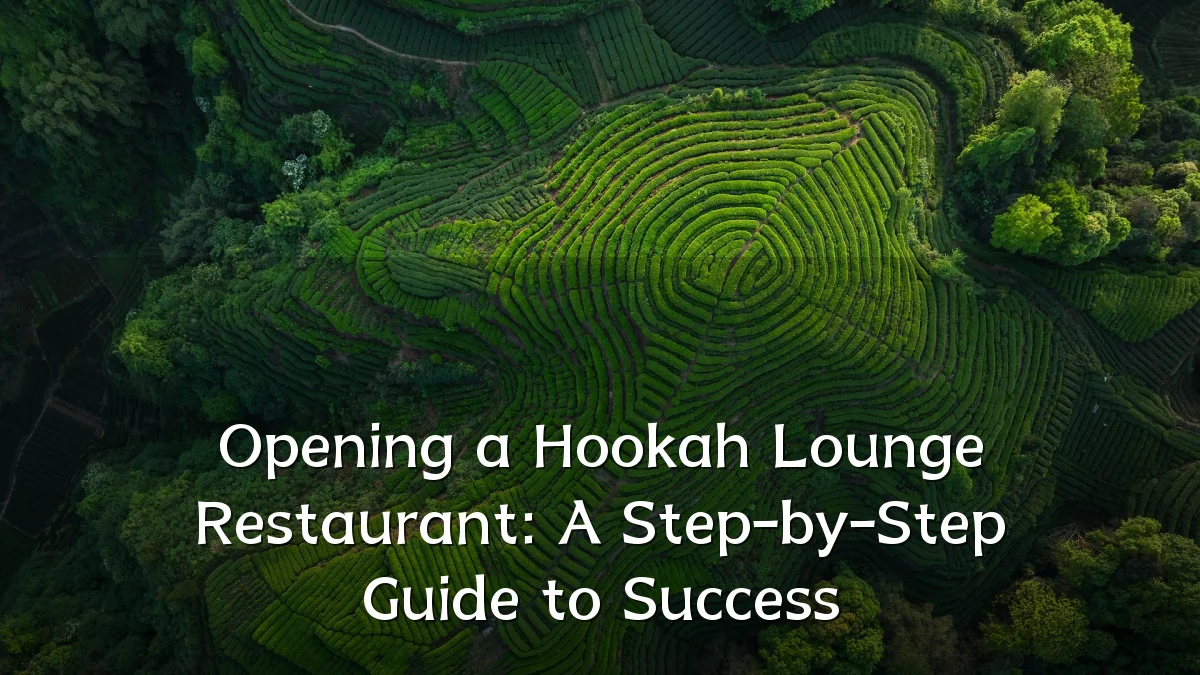 Opening a Hookah Lounge Restaurant: A Step-by-Step Guide to Success