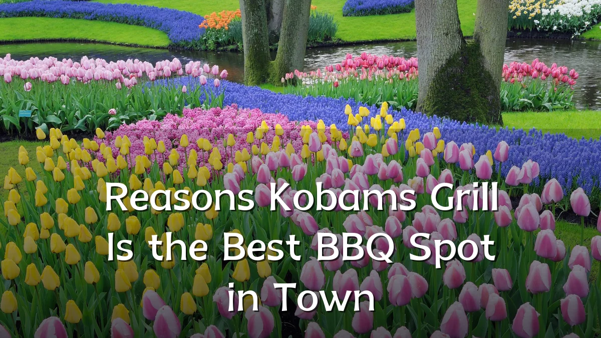 Reasons Kobams Grill Is the Best BBQ Spot in Town