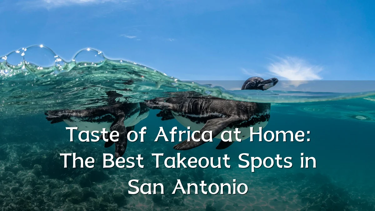 Taste of Africa at Home: The Best Takeout Spots in San Antonio