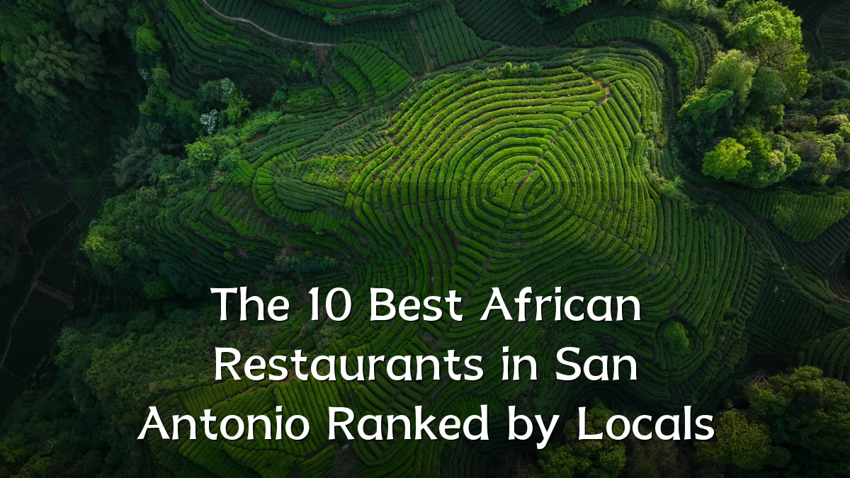 The 10 Best African Restaurants in San Antonio Ranked by Locals