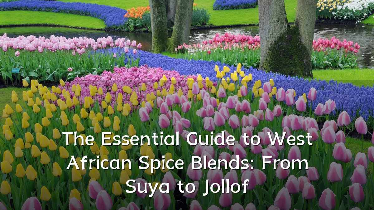 The Essential Guide to West African Spice Blends: From Suya to Jollof