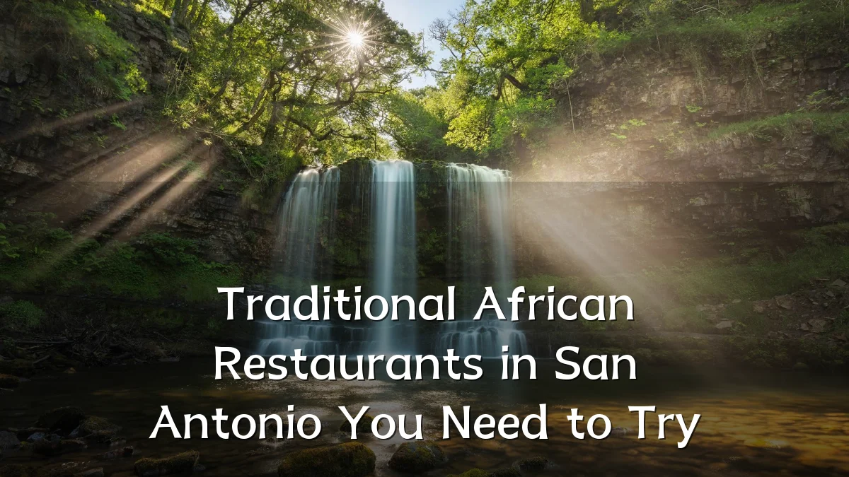 Traditional African Restaurants in San Antonio You Need to Try