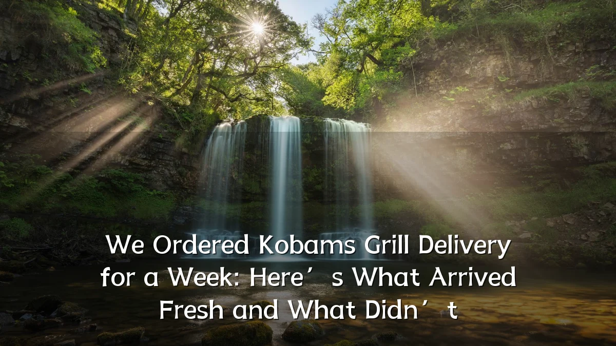 We Ordered Kobams Grill Delivery for a Week: Here’s What Arrived Fresh and What Didn’t
