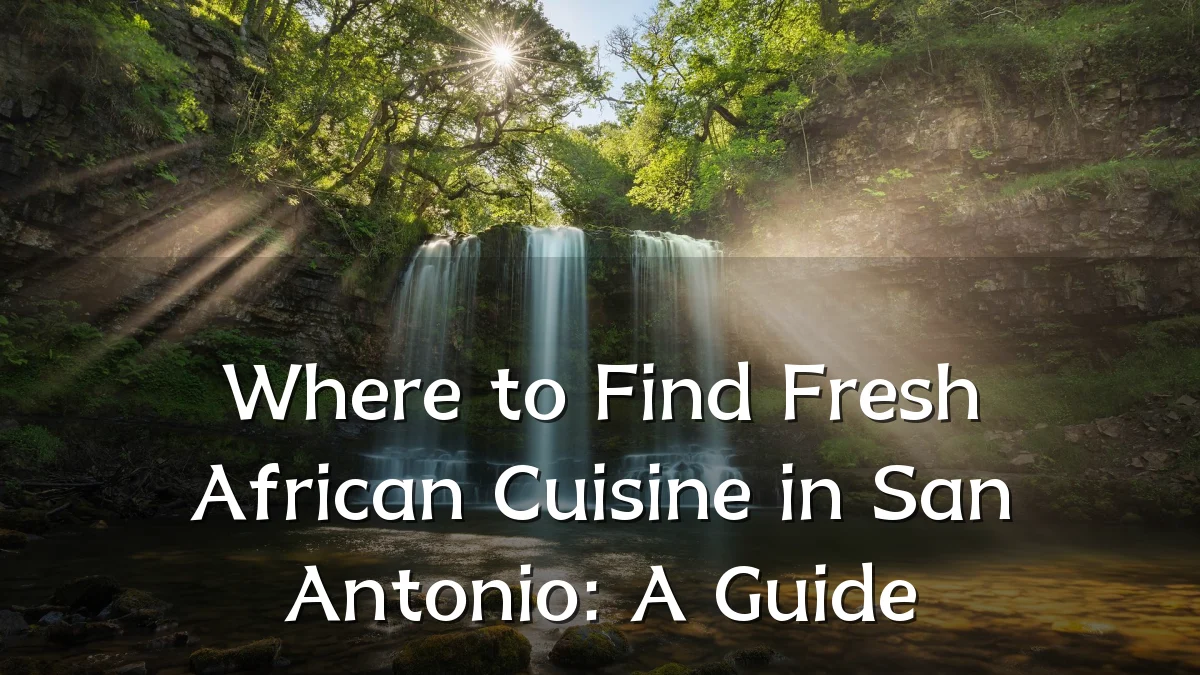Where to Find Fresh African Cuisine in San Antonio: A Guide