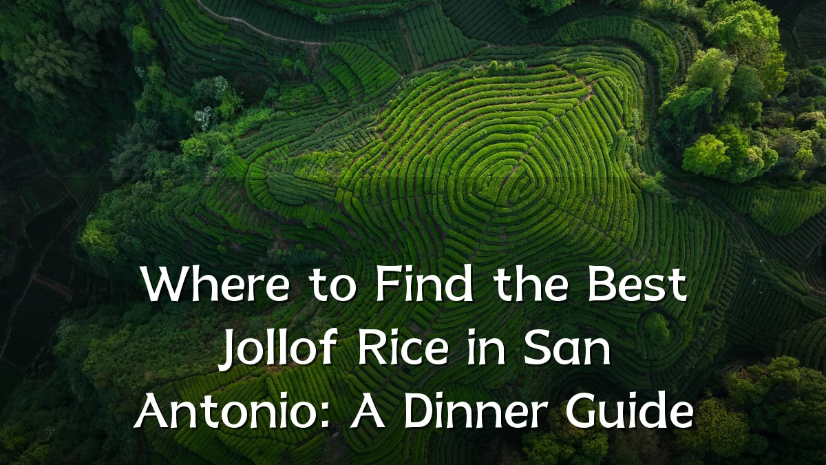 Where to Find the Best Jollof Rice in San Antonio: A Dinner Guide
