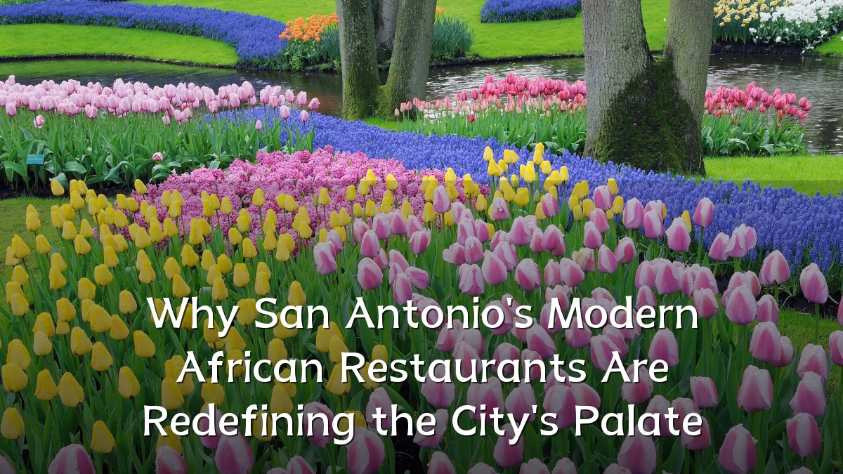 Why San Antonio's Modern African Restaurants Are Redefining the City's Palate