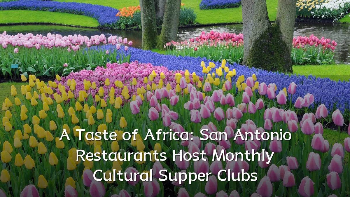 A Taste of Africa: San Antonio Restaurants Host Monthly Cultural Supper Clubs