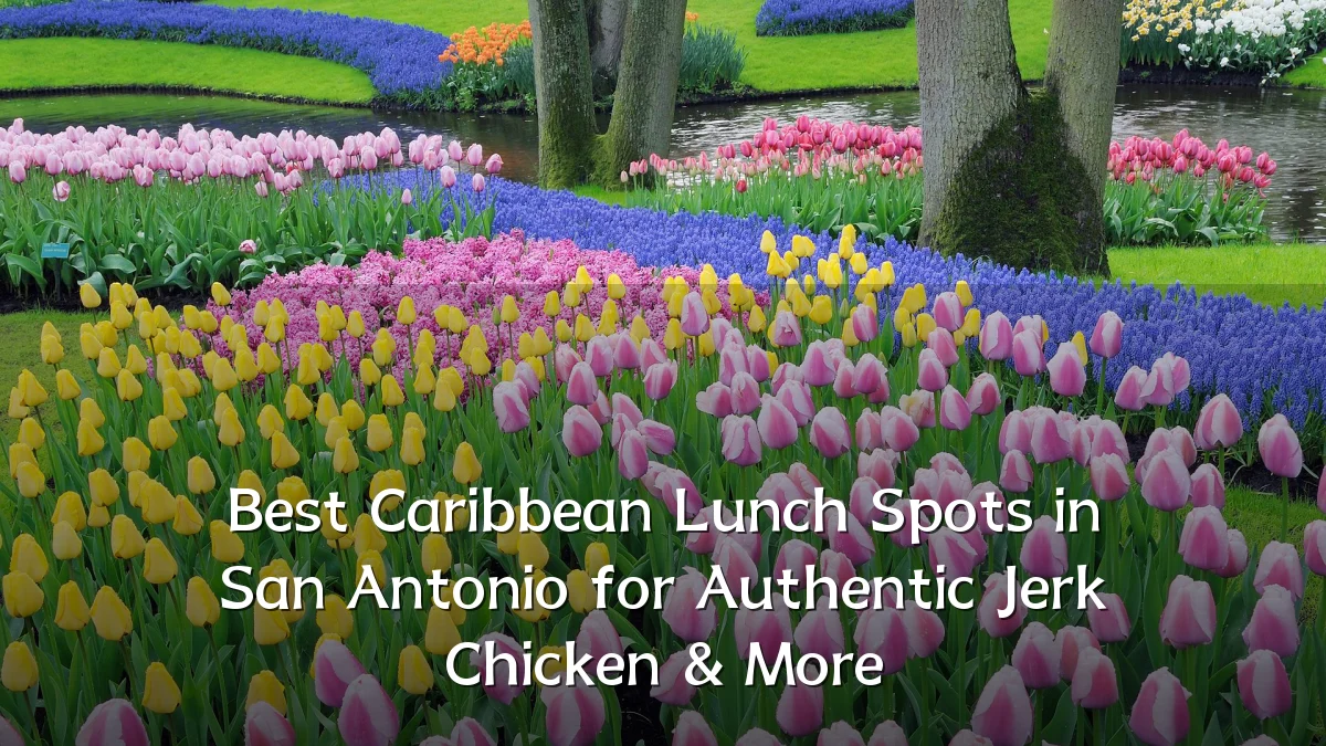 Best Caribbean Lunch Spots in San Antonio for Authentic Jerk Chicken & More