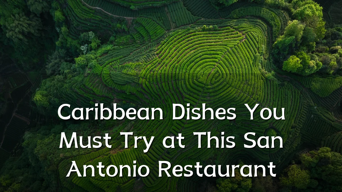 Caribbean Dishes You Must Try at This San Antonio Restaurant