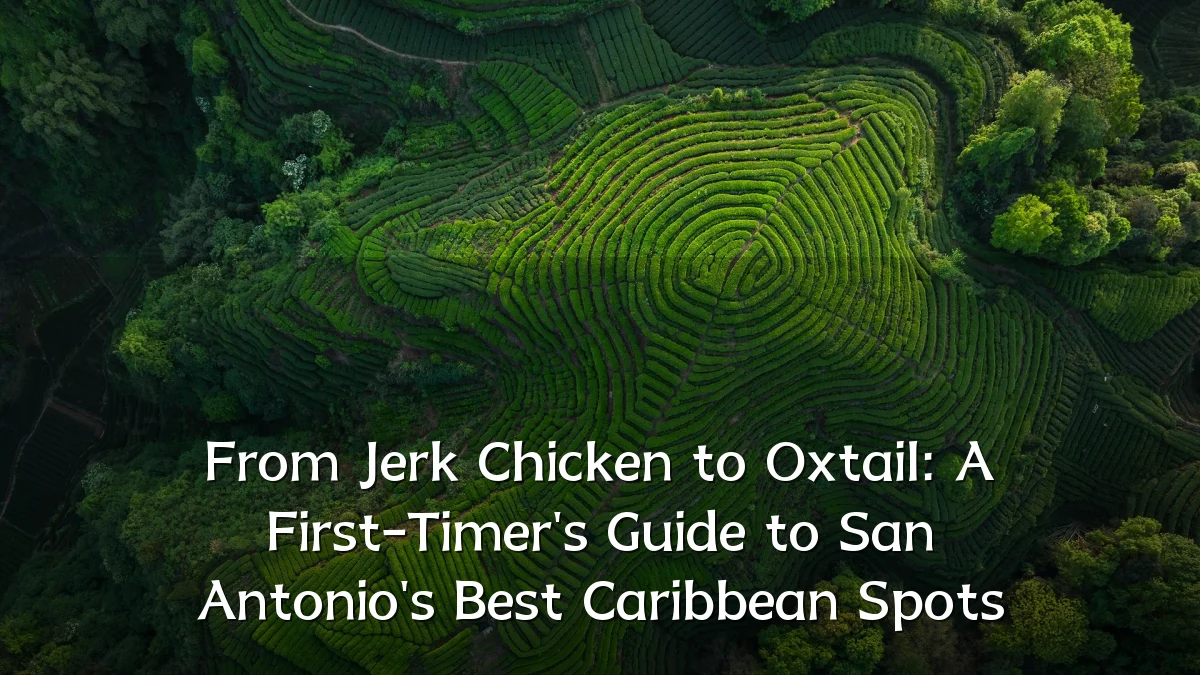 From Jerk Chicken to Oxtail: A First-Timer's Guide to San Antonio's Best Caribbean Spots