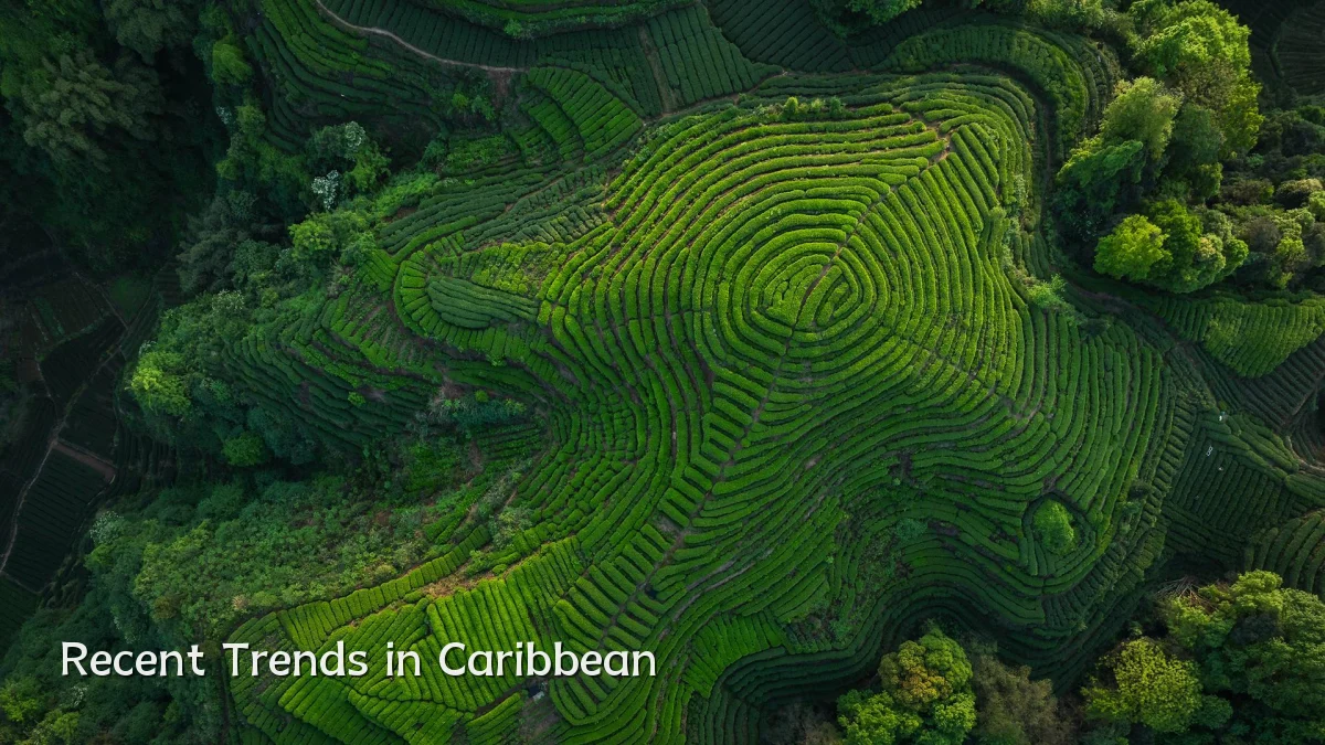 Recent Trends in Caribbean