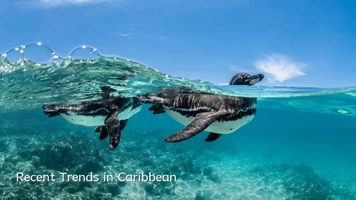 Recent Trends in Caribbean