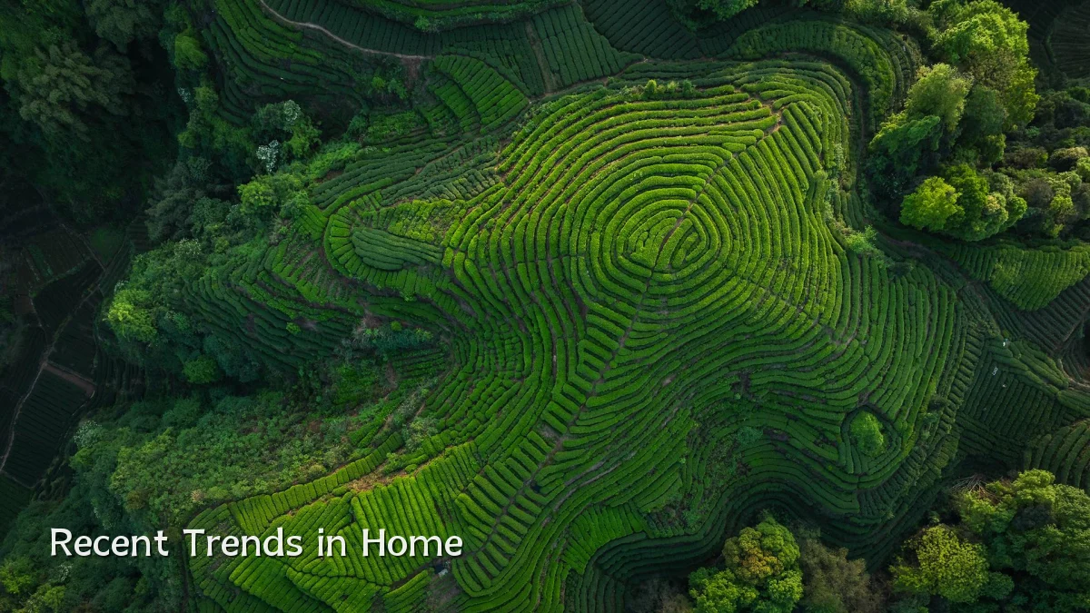 Recent Trends in Home