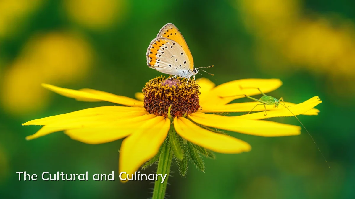 The Cultural and Culinary