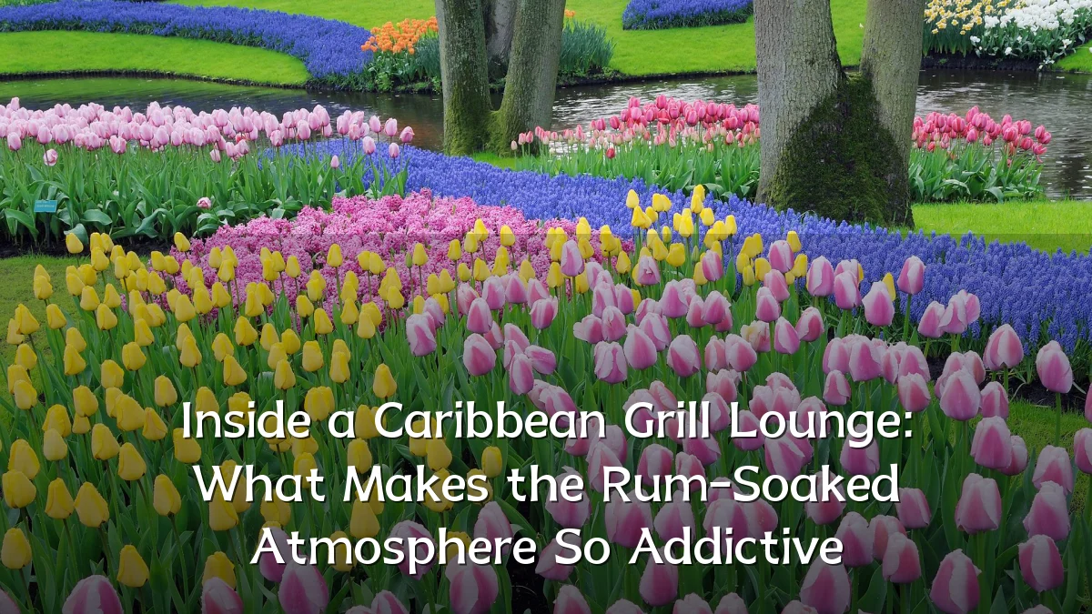 Inside a Caribbean Grill Lounge: What Makes the Rum-Soaked Atmosphere So Addictive