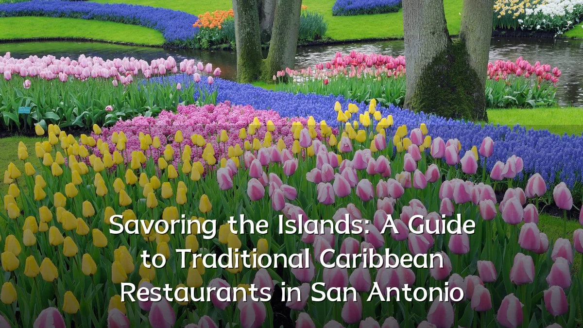 Savoring the Islands: A Guide to Traditional Caribbean Restaurants in San Antonio