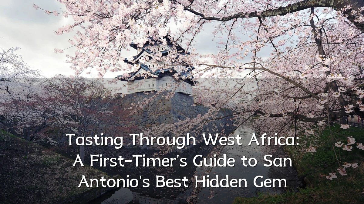 Tasting Through West Africa: A First-Timer's Guide to San Antonio's Best Hidden Gem