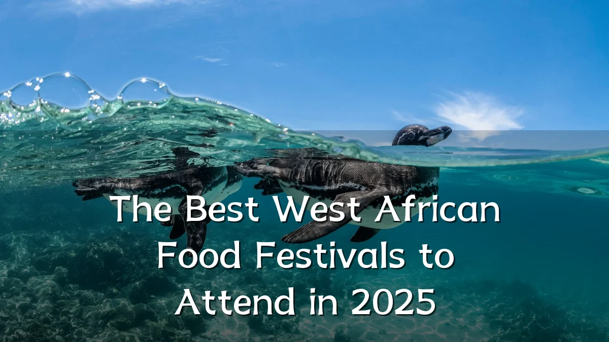 The Best West African Food Festivals to Attend in 2025
